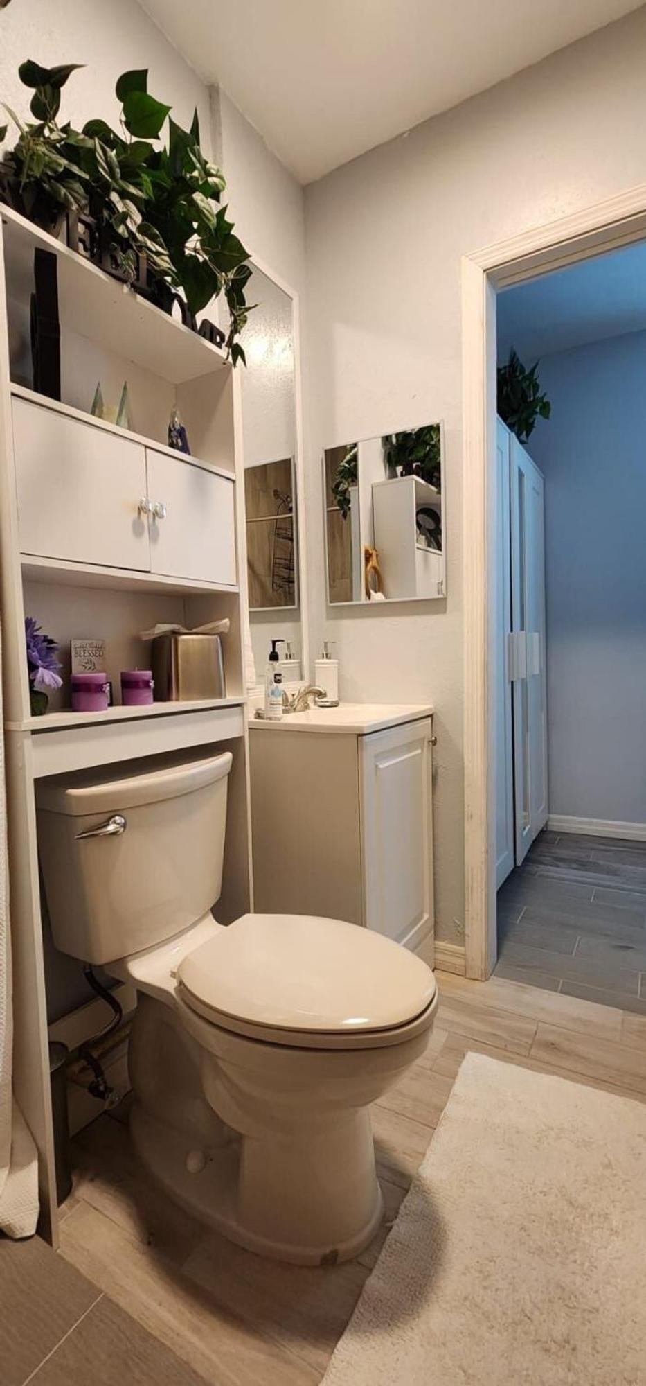 Sweet Studio In Sarasota Zewnętrze zdjęcie
